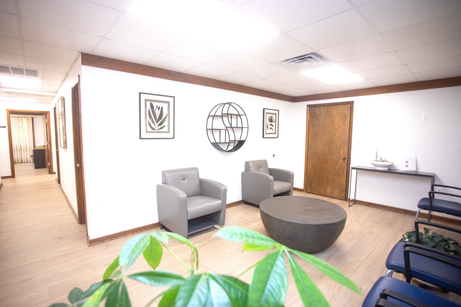 Bright, modern waiting area inside Norvinia Health's Direct Primary Care office in Fairfax, VA